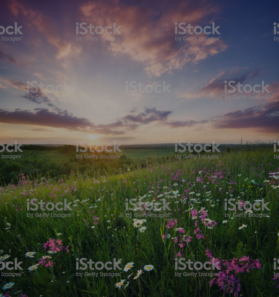 690202844-1024x1024-35pc-b.jpg