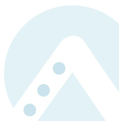 Enlarged-Shield-Shadow-Effect-Offset.jpg